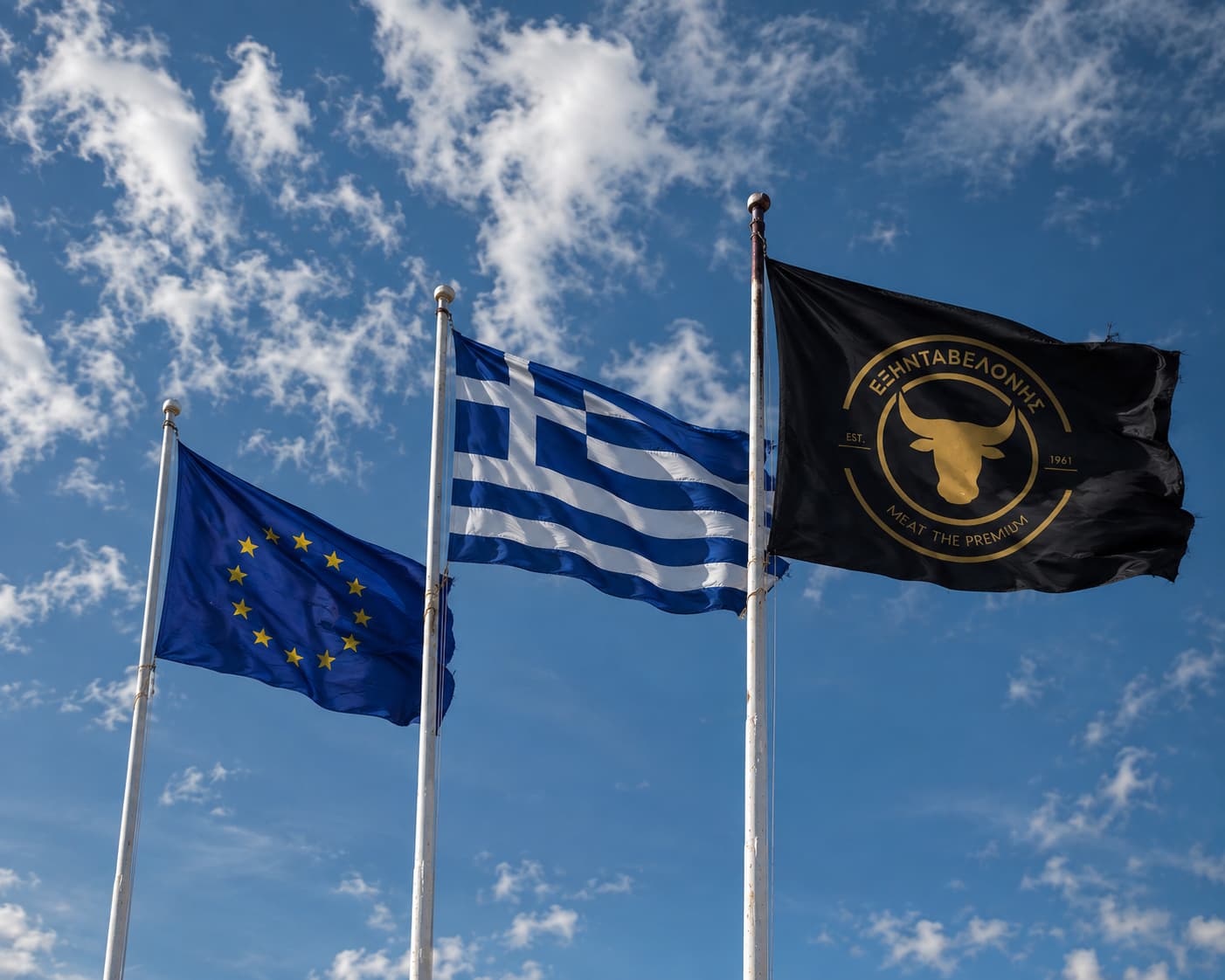 Σημαίες Ευρωπαϊκής Ένωσης, Ελλάδας και Δ. ΕΞΗΝΤΑΒΕΛΟΝΗΣ στην εγκατάσταση